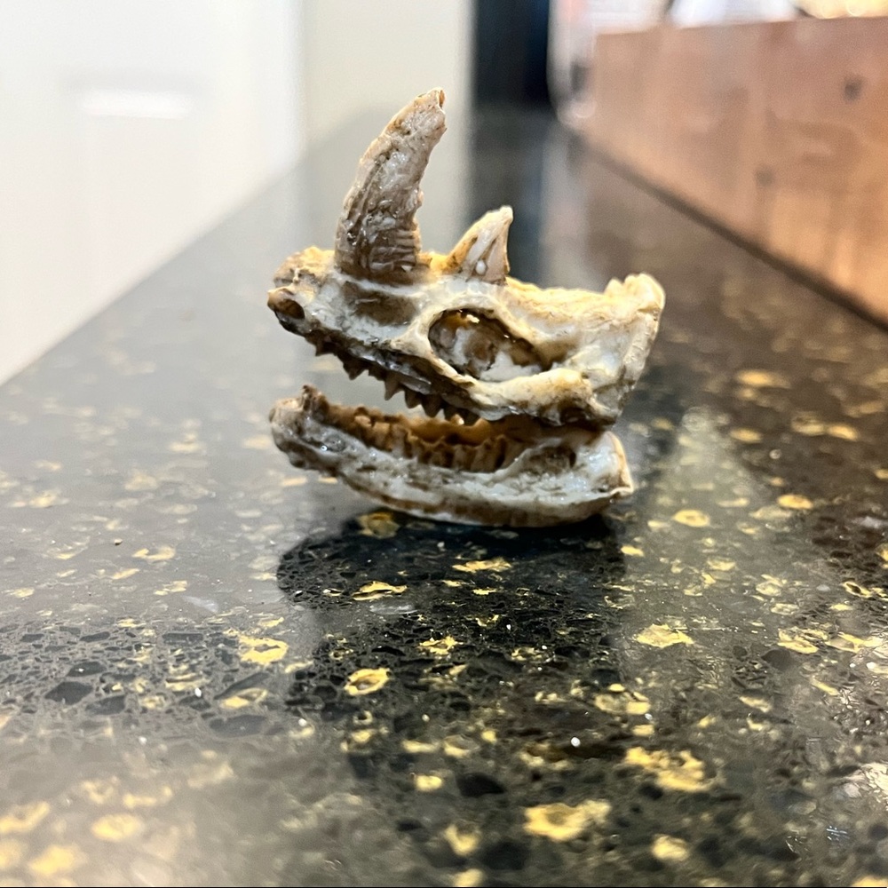 Mini Dinosaur Skull Aquarium Figurine